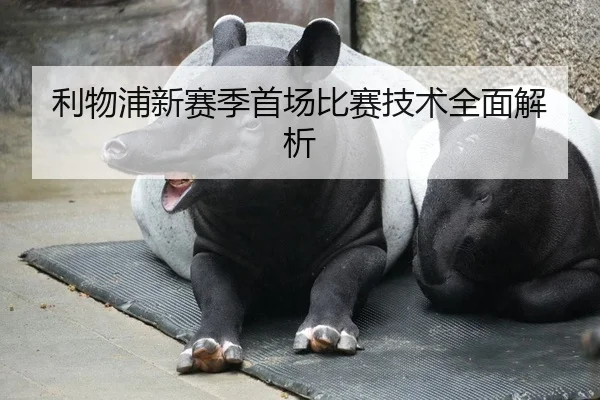 利物浦新赛季首场比赛技术全面解析